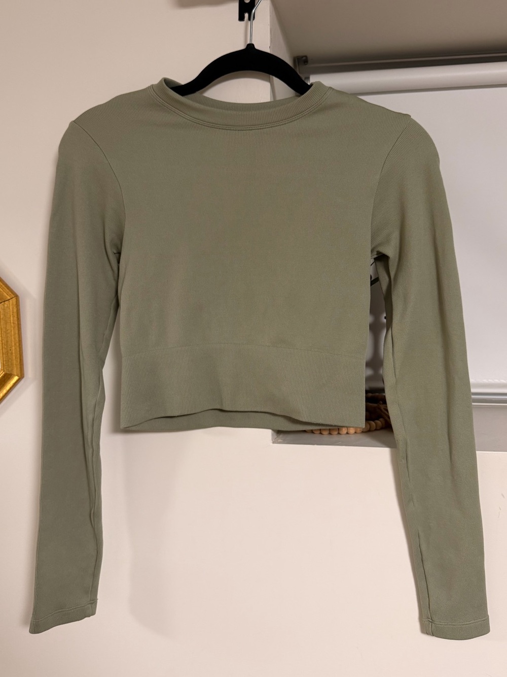 Dynamite Cropped Long Sleeve Top - Sage Green